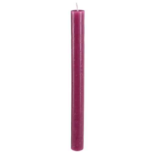 Floristik24 Taper candles colored candles Berry 21×240mm 12 pcs