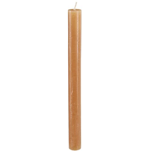 Floristik24 Taper candles colored candles caramel 21×240mm 12 pcs