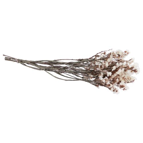 Product Beach Lilac White Limonium Dried Flowers 60cm 35g