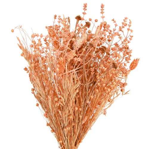 Floristik24 Bouquet of dried flowers Orange Apricot dried bouquet 45cm 80g