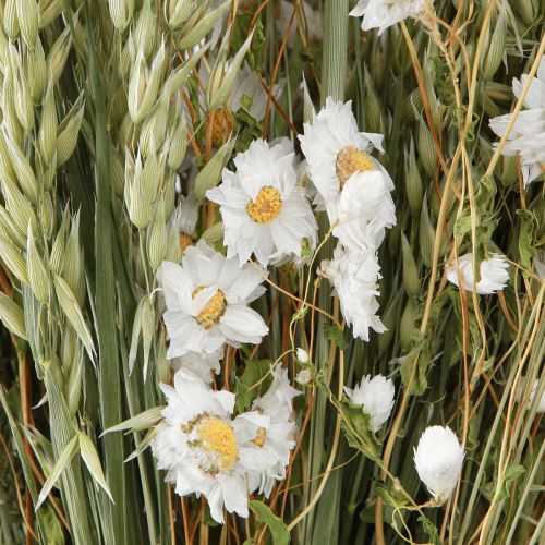 Product Bouquet Dried Flowers White Strawflowers Oats Lagurus 55cm