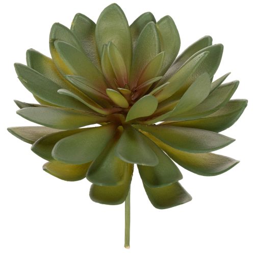 Product Artificial Green Succulent Decoration Set, 18cm, Pack of 3
```html
<h2>Artificial Green Succulent Decoration for Home and Office</h2>
<p>This set of artificial green succulents is versatile and ideal for home and office decoration. Each piece stands at