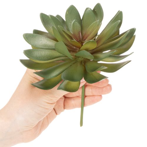 Product Artificial Green Succulent Decoration Set, 18cm, Pack of 3
```html
<h2>Artificial Green Succulent Decoration for Home and Office</h2>
<p>This set of artificial green succulents is versatile and ideal for home and office decoration. Each piece stands at