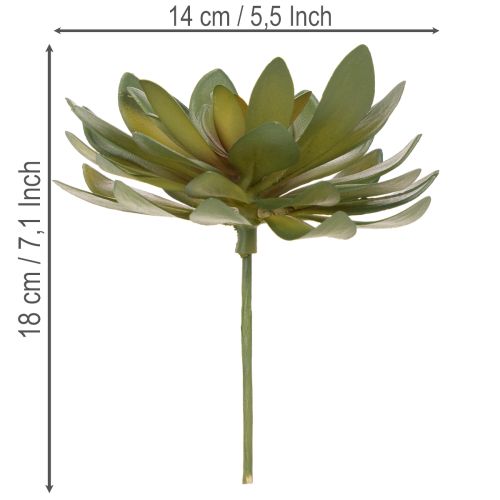 Product Artificial Green Succulent Decoration Set, 18cm, Pack of 3
```html
<h2>Artificial Green Succulent Decoration for Home and Office</h2>
<p>This set of artificial green succulents is versatile and ideal for home and office decoration. Each piece stands at