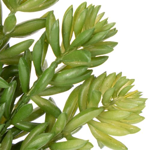 Product Artificial succulent flower for low-maintenance design of living and office spaces, 15cm, 6 pieces