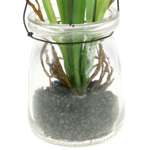 Product Grape hyacinth white in a glass for hanging H22cm