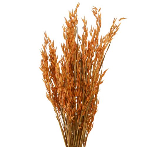 Dry Decoration Oat Decoration in Orange L64cm 70-75g 2pcs