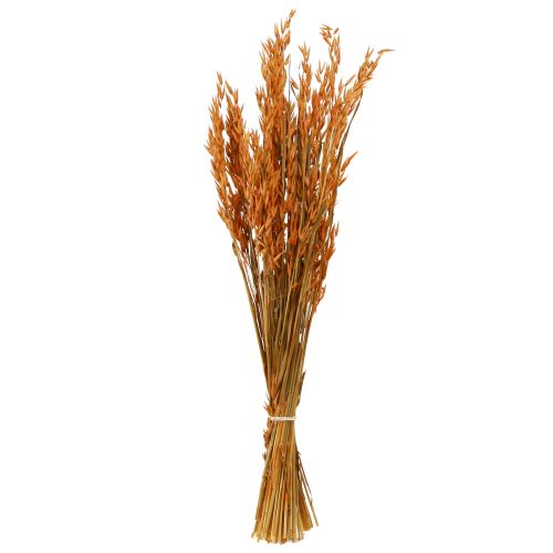 Product Dry Decoration Oat Decoration in Orange L64cm 70-75g 2pcs