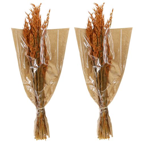 Product Dry Decoration Oat Decoration in Orange L64cm 70-75g 2pcs