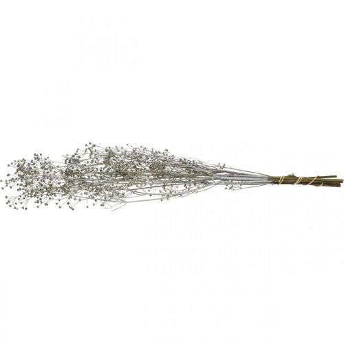 Product Dried Flower Massasa Whitened Decorative Branches 50-55cm Bunch of 6 pcs