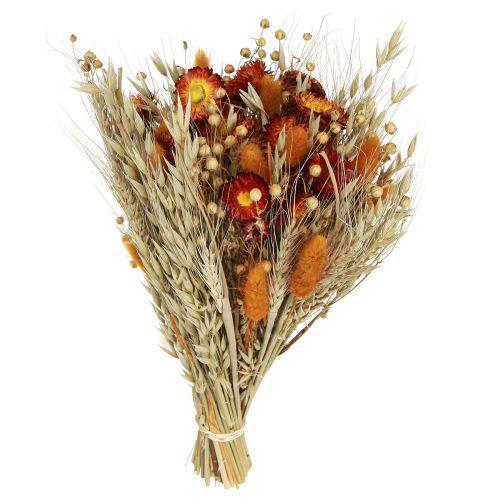 Floristik24 Dried flowers field flower bouquet straw flowers orange L30cm