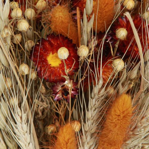 Product Dried flowers field flower bouquet straw flowers orange L30cm