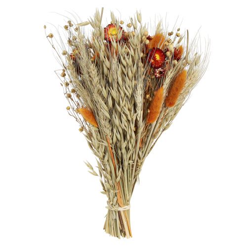 Product Dried flowers field flower bouquet straw flowers orange L30cm