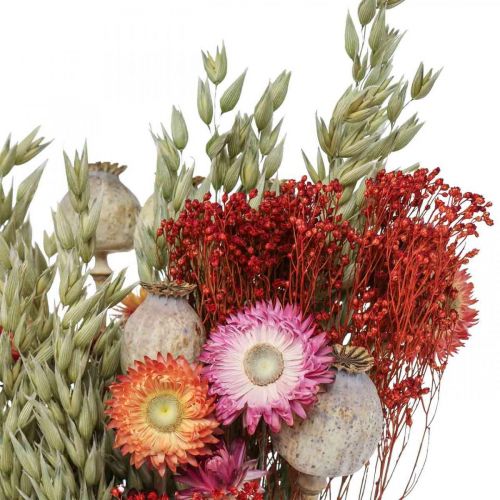 Product Bouquet of dried flowers Bouquet of meadow flowers Red H50cm 150g