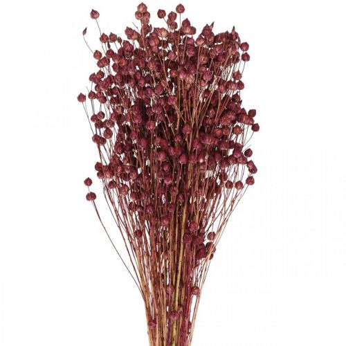 Floristik24 Dried Grass Dried Flax Old Pink H50–55cm 80g