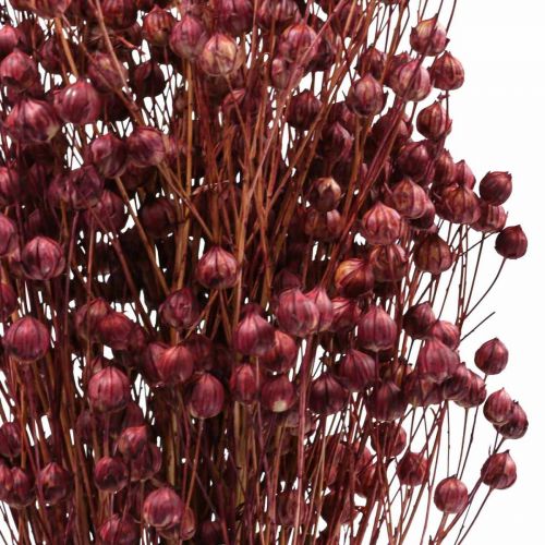 Product Dried Grass Dried Flax Old Pink H50–55cm 80g