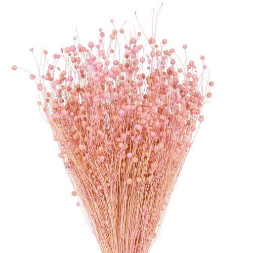 Floristik24 Dried Grass Dried Flax Light Pink H50–55cm 80g