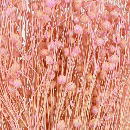 Product Dried Grass Dried Flax Light Pink H50–55cm 80g