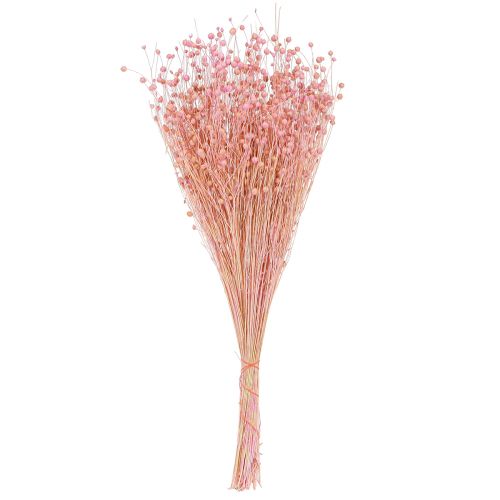 Product Dried Grass Dried Flax Light Pink H50–55cm 80g