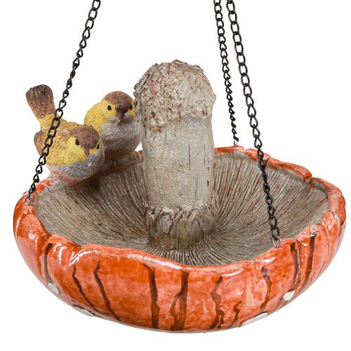 Floristik24 Bird decoration autumn for hanging mushroom with 2 birds Ø20cm H15cm