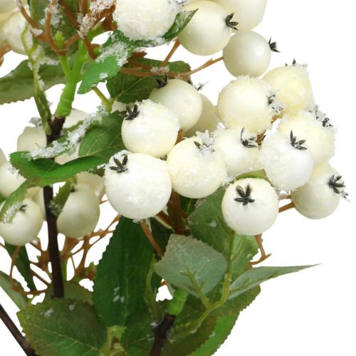 Product Christmas branches, snowberry, artificial plant snowed L58cm