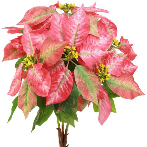 Floristik24 Poinsettia Red Pink Artificial Poinsettia L53cm