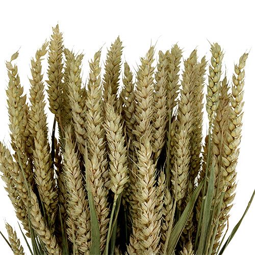 Product Wheat bunch natural deco wheat 1 bunch 150g