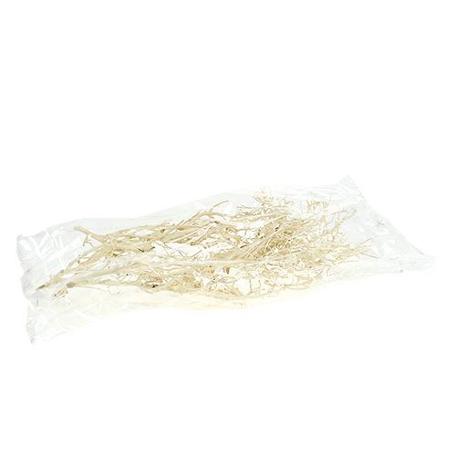 Product White Bush bleached 5 pcs