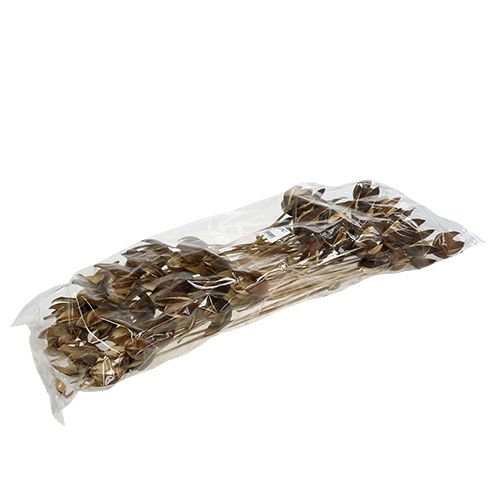 Product Wild lily on stem natural coloured Ø6.5cm L55cm 45 pcs