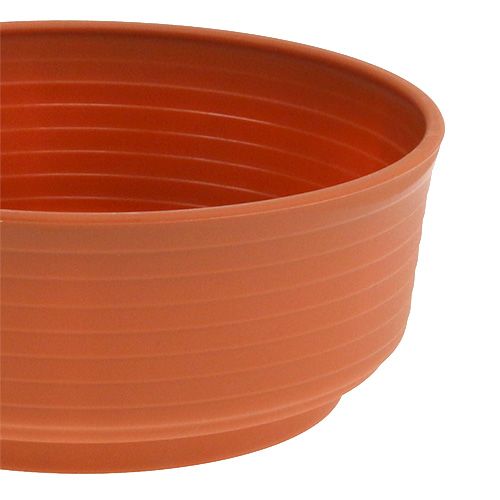 Product Z-bowl plastic Ø16cm 10 pcs