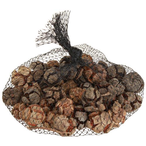 Product Cypress cones decoration natural cypress cones 2-4cm 250g