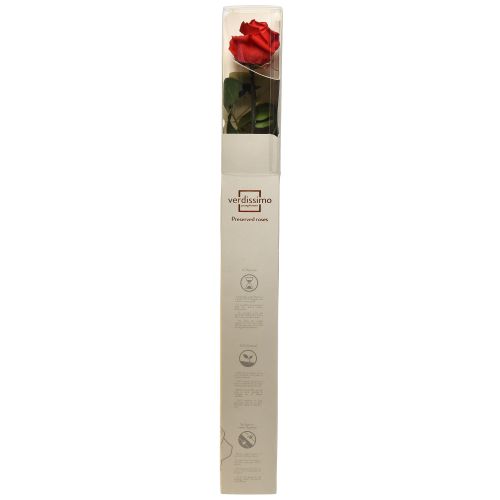Product Amorosa Red Infinity Rose with Leaves Preserved L54cm