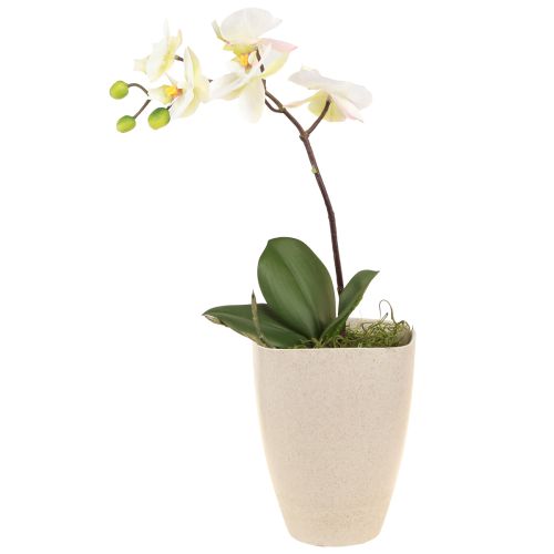 Orchid Pot Flowerpot Plastic Beige Mottled 13.5x13cm H16.5cm 4pcs