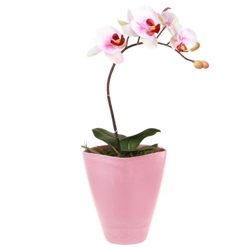 Flowerpot Plastic Vase Orchid Pot Pink H16.5cm 4pcs