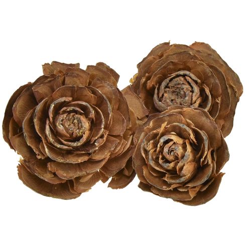 Cedar cones cut as rose Cedarrose 4-6cm natural 50pcs.