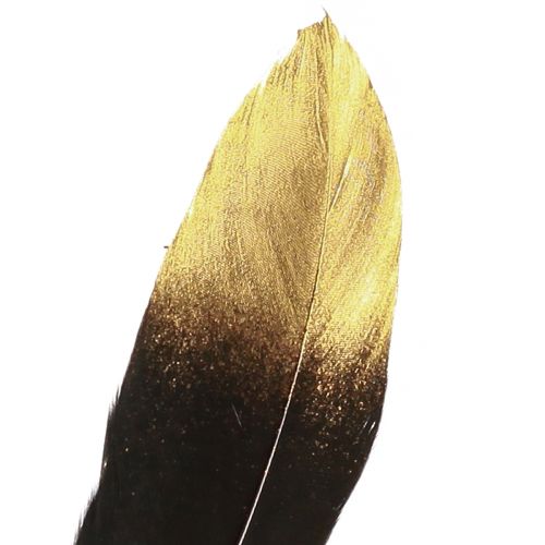 Product Decorative Feathers Black Gold Real Goose Feathers 15-20cm 50pcs