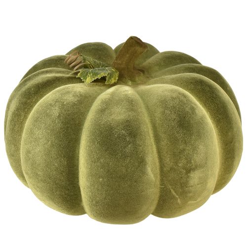 Decorative pumpkin flocked green – velvety-beautiful autumn decoration 32cm