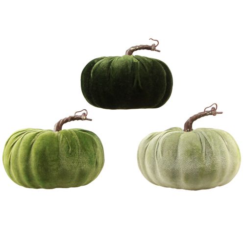 Product Decoration Pumpkin Autumn Green Dark Green Light Green Ø18cm 3 pcs