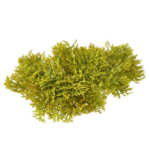 Decorative moss artificial green brown – moss cushion 10/12/14cm 3 pcs