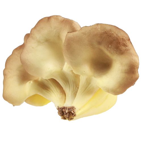 Product Decorative Mushrooms Light Brown Oyster Mushrooms Artificial 19×12×9cm