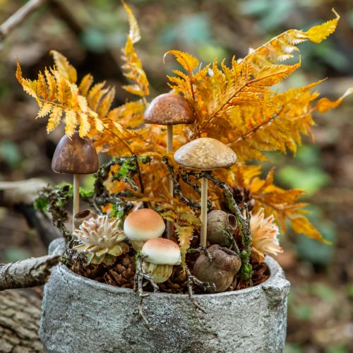 Product Decorative Mushrooms on Stick Small and Large Brown H10/11.5cm 8 pcs