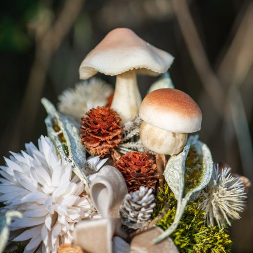 Floristik24 Decorative Mushrooms for Sticking Brown Decorative Mushrooms Autumn 3.5/5.5cm 16 pcs