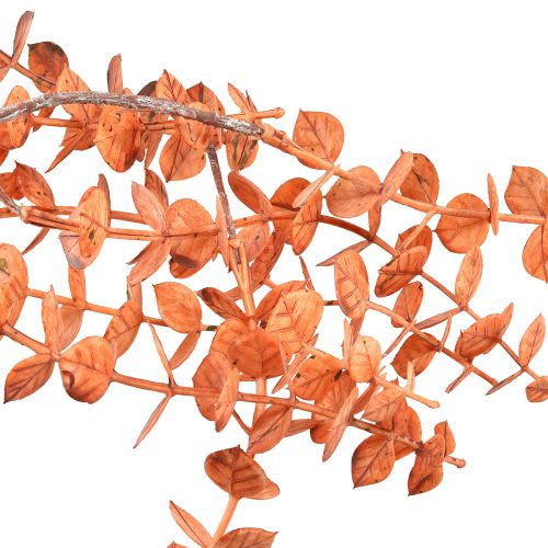 Product Eucalyptus artificial hanging autumn eucalyptus orange 150cm