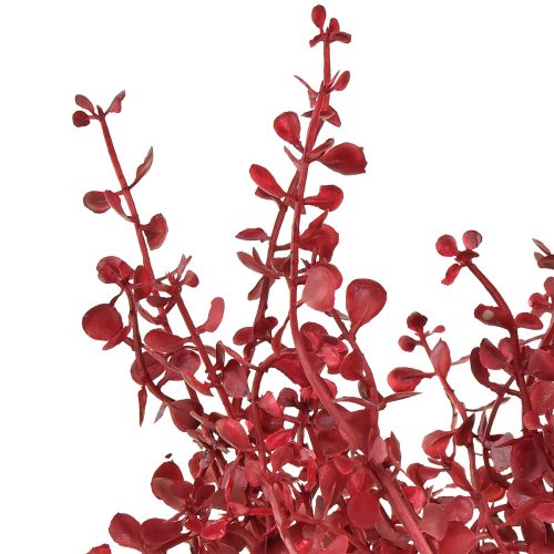 Product Eucalyptus bush red artificial plant eucalyptus 28cm 3pcs