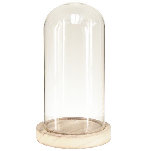 Glass bell with wooden base clear natural Ø12cm H21cm