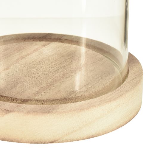 Product Glass bell with wooden base clear natural Ø12cm H21cm