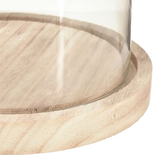 Product Glass bell oval wooden base glass jar clear natural Ø17cm H24cm