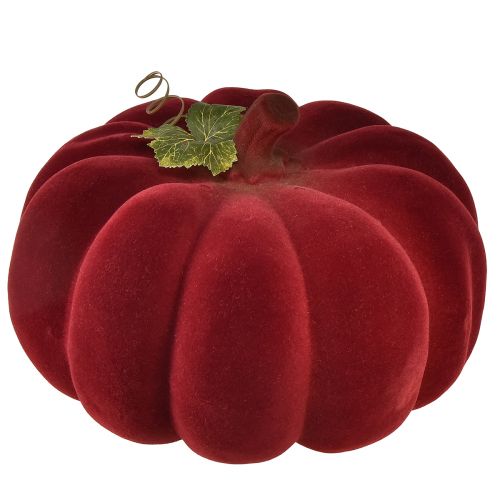 Autumn decoration pumpkin flocked red burgundy – pumpkin decoration for a unique autumn ambience 32cm