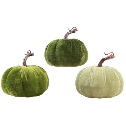 Product Autumn decoration pumpkin light green dark green Ø13cm 3 pcs