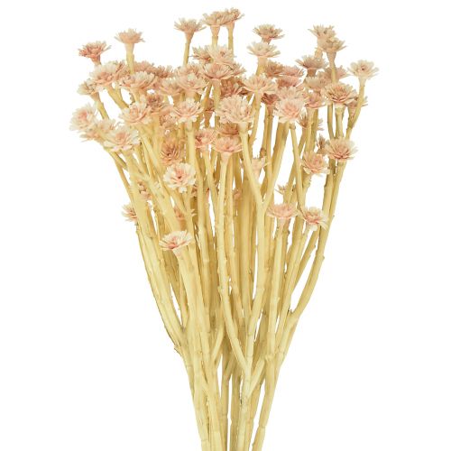Italian Strawflower Artificial Flowers Pink L28cm